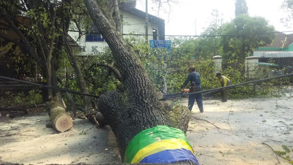 Foto: Pohon tumbang di Jalan RE Martadinata, Kota Bandung, Jawa Barat/MTVN_Rendra