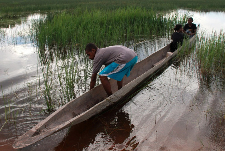 Kementan Siapkan Teknologi Pengembangan Lahan Rawa