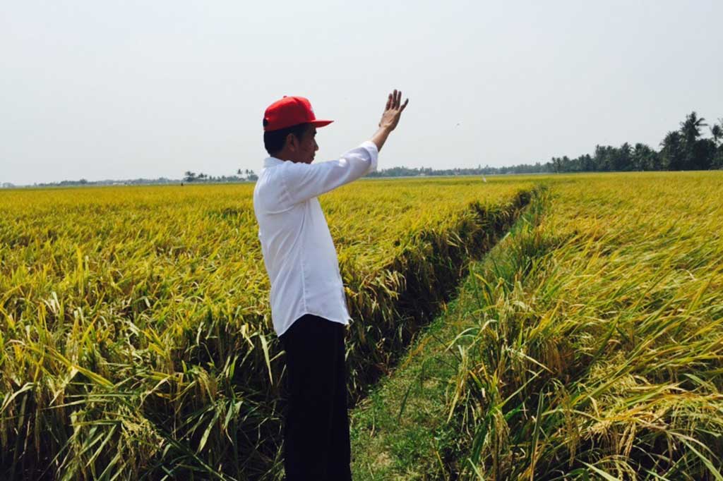 Jokowi Optimistis Kebutuhan Beras Tercukupi