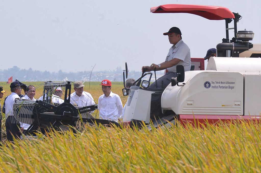 Jokowi Panen Padi di Karawang