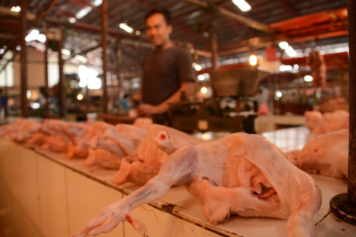 Harga Daging Ayam Masih Bertahan Tinggi