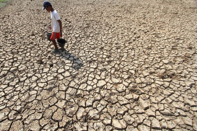 Ditimpa El Nino, Mentan: Kita Lebih Baik Ketimbang 1998