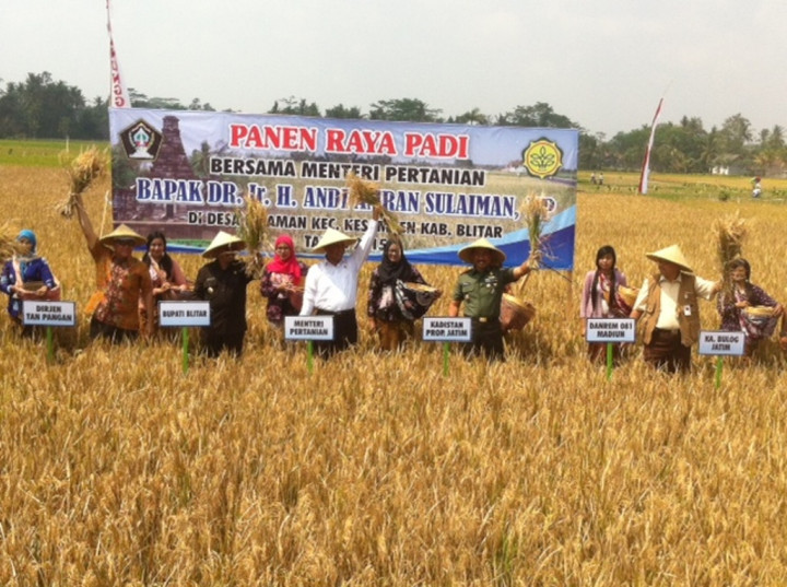 Mentan Panen Padi di Blitar