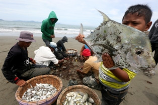 Dituduh Mencuri Ikan, Nelayan Gunung Kidul Digugat Rp6 Miliar