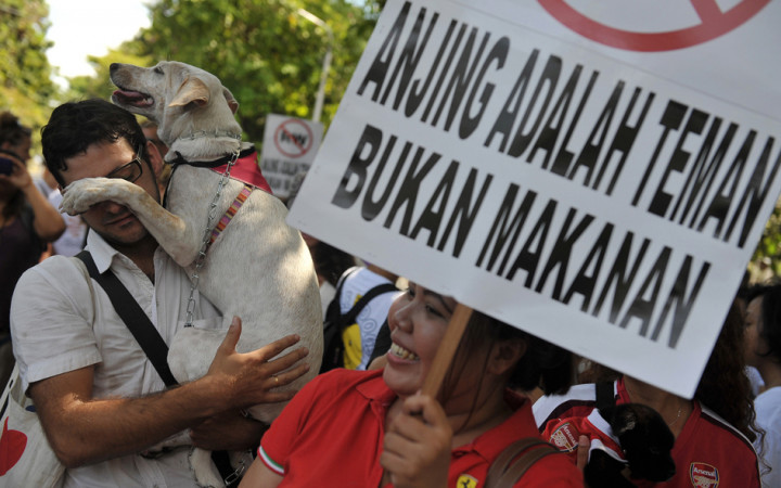 80 Persen Daging Anjing Dipasok dari Pasar Gelap