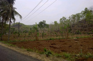 Dilindungi UNESCO, Gunungkidul Akan Gelar Festival Geopark 2016