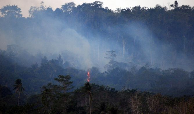 HGU Lahan Terbakar Dipertimbangkan untuk Dicabut