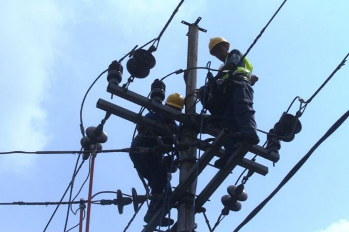 Dewan Energi Nasional Kritisi Cara PLN Sediakan Listrik