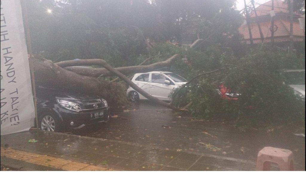 Pohon tumbang di Jalan Ganesa, area parkir Kampus Institut Teknologi Bandung. (Twitter/@RizqiqiFauzi)