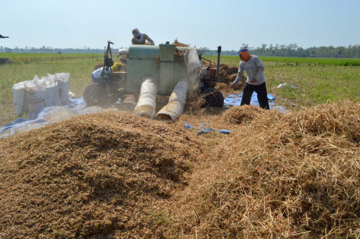 Pemerintah Akui Pembangunan BUMDes Terkendala Tiga Faktor