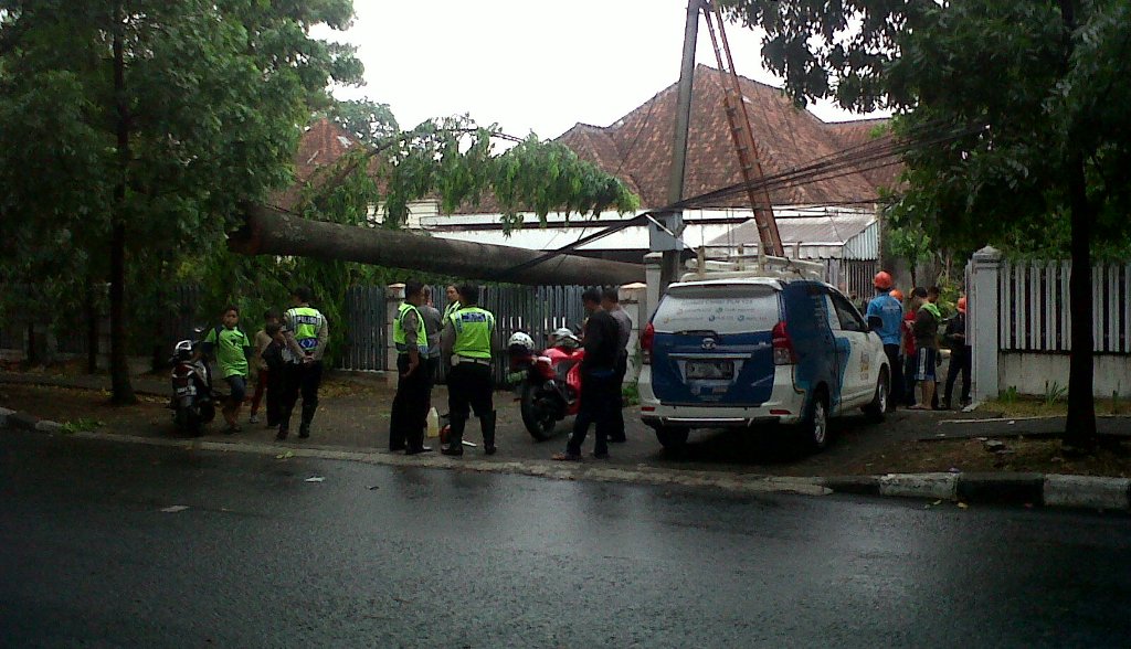 Pohon menimpa pagar rumah dan meruntuhkan satu tiang listrik di bawah flyover Pasopati, Bandung, Rabu 7 Oktober. Foto: MTVN/Roni