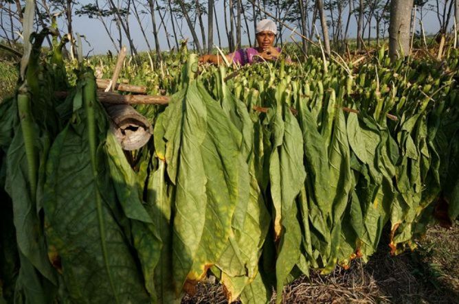 Puluhan Ribu Buruh Teken Petisi Tolak Kenaikan Cukai Rokok