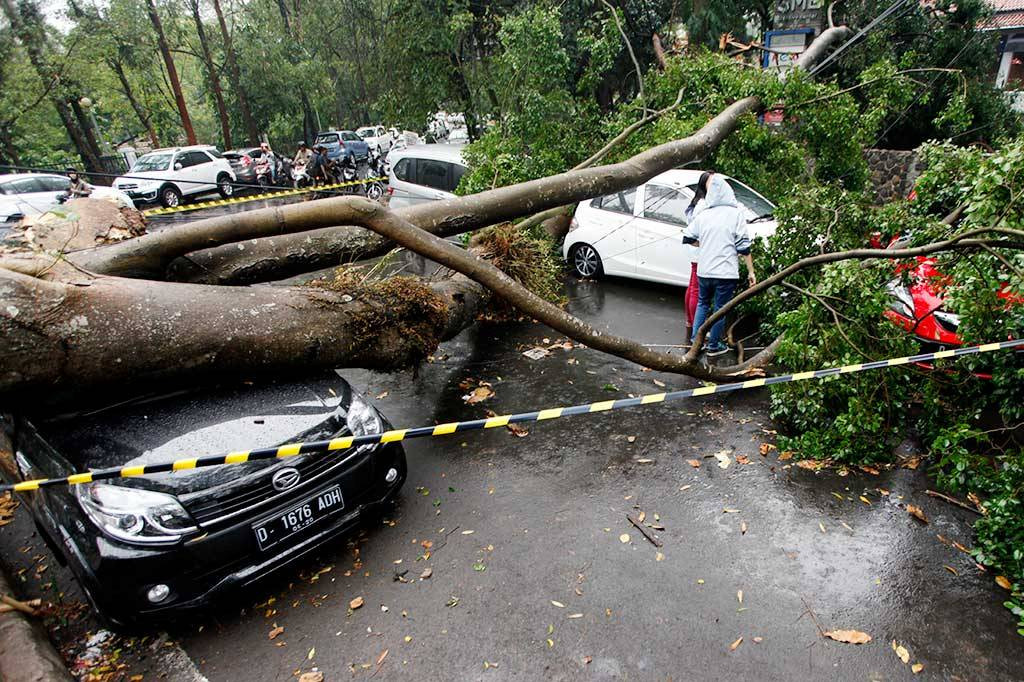Kendaraan  yang sedang terparkir tertimpa pohon di jalan Ganesha Bandung, Jawa Barat, Rabu (7/10). Foto: Antara/Agus Bebeng