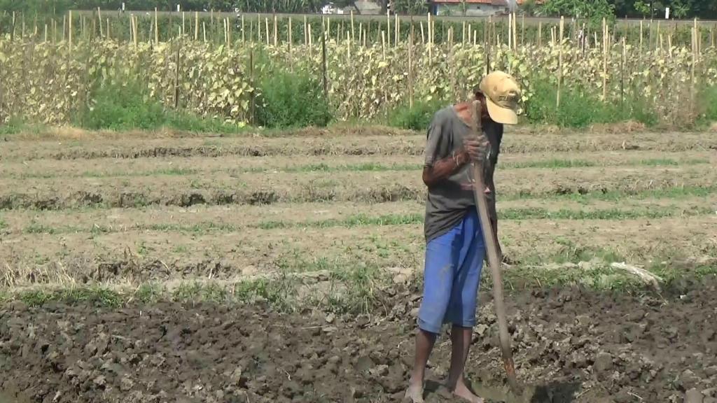 Ilustrasi kekeringan. Foto: MTVN/Iswahyudi