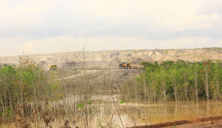 ARMI: Pemerintah Belum Gunakan Dana Reklamasi Tambang dengan Optimal