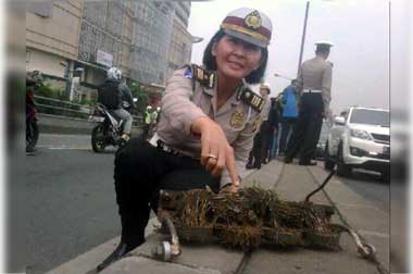 Hati-Hati Melintas di Jalur Protokol, Ranjau Paku Masih Mengintai! 