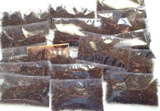 Di Yogyakarta, Tembakau Cap Gorilla Dijual via Instagram