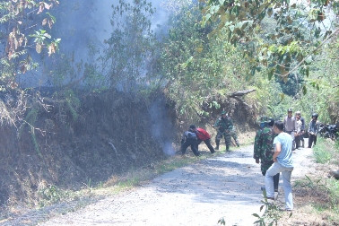 Belasan Hektare Hutan Pinus di Batang Terbakar