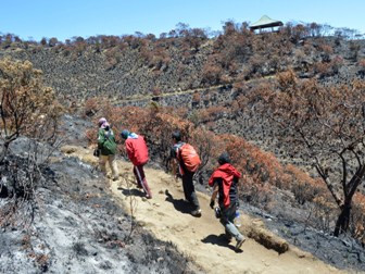 Kisah Pendaki Selamat dari Kepungan Api di Gunung Lawu