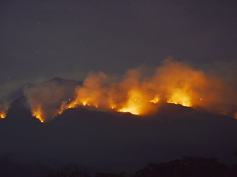 Identitas Lima Korban Tewas Kebakaran Gunung Lawu