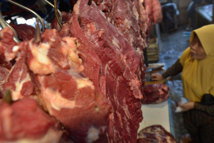 Impor Daging Capai 19.000 Ton di Kuartal IV-2015