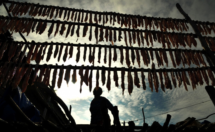 Memahami Pengeloaan SDA Bersama Suku Bajo