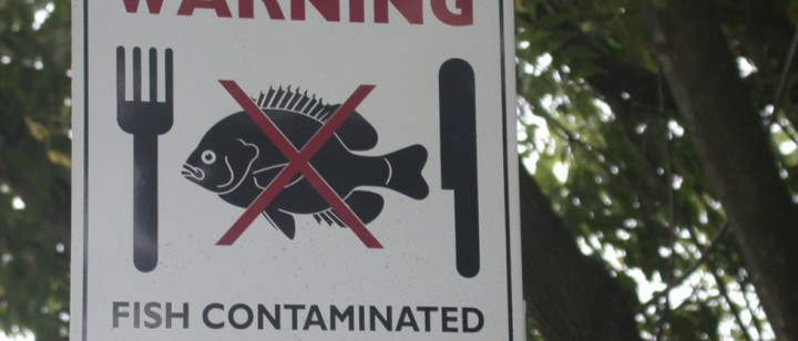 Peneliti Temukan Bahan untuk Atasi Polusi Merkuri