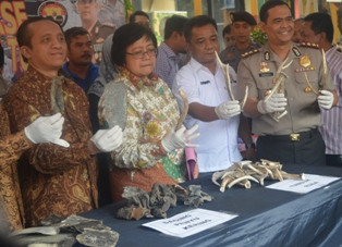 Polisi Gerebek Bisnis Satwa Lindung 