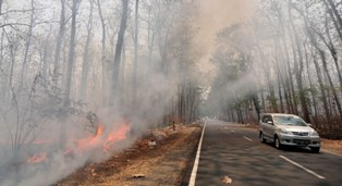 Kebakaran Hutan, Presiden Minta Penerapan Kebijakan Sanksi Dilanjutkan 