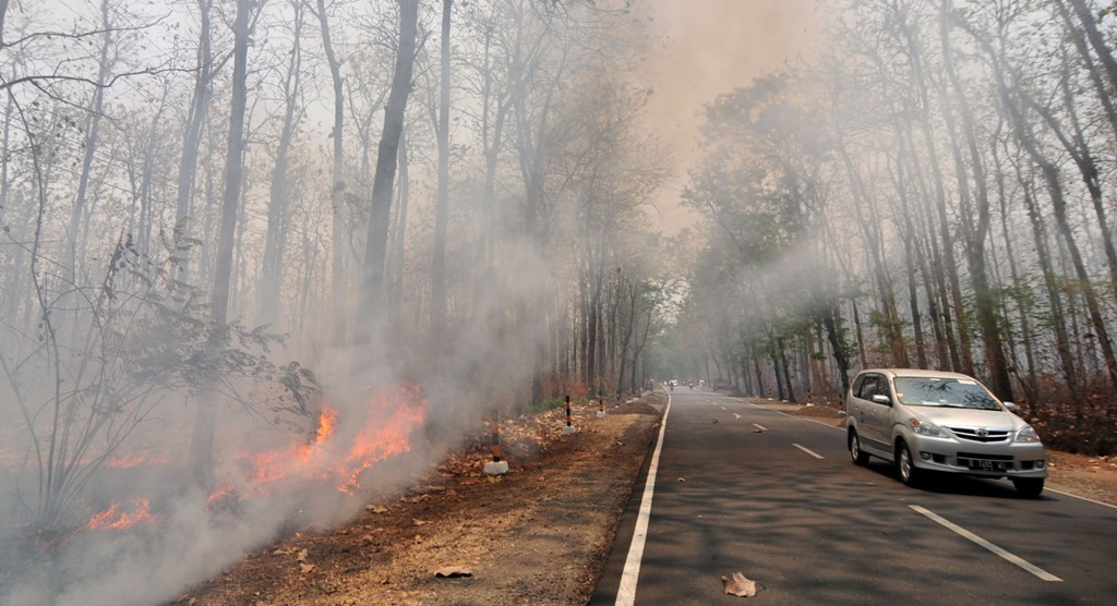 Ilustrasi Kebakaran Hutan. Foto: Antara/Oky Lukmansyah.