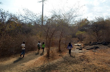 Delapan Bulan Kekeringan, Anak-anak di Manggarai Barat Makan Sekali Sehari