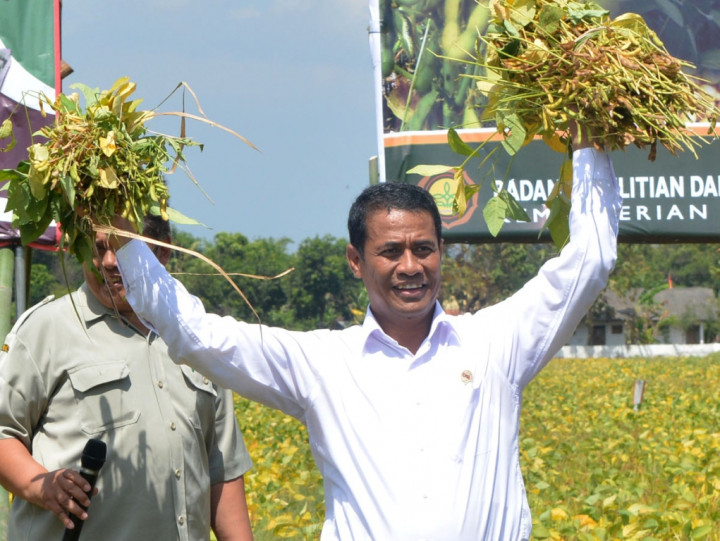 Panen Raya, Mentan Beri Bantuan Rp6 Miliar untuk Kolaka 