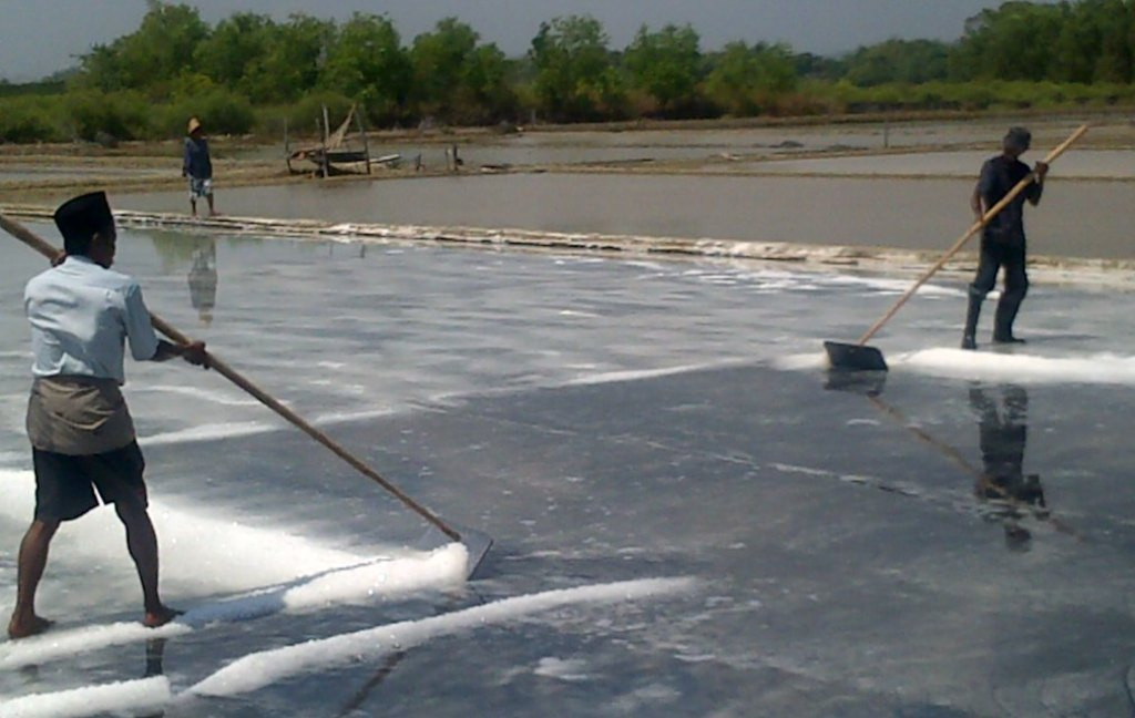 Petani garam di Bangkalan tengah mengolah ladangnya. (Metrotvnews.com/Agus Josiandi)