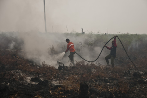Etika Bisnis versus Kabut Asap