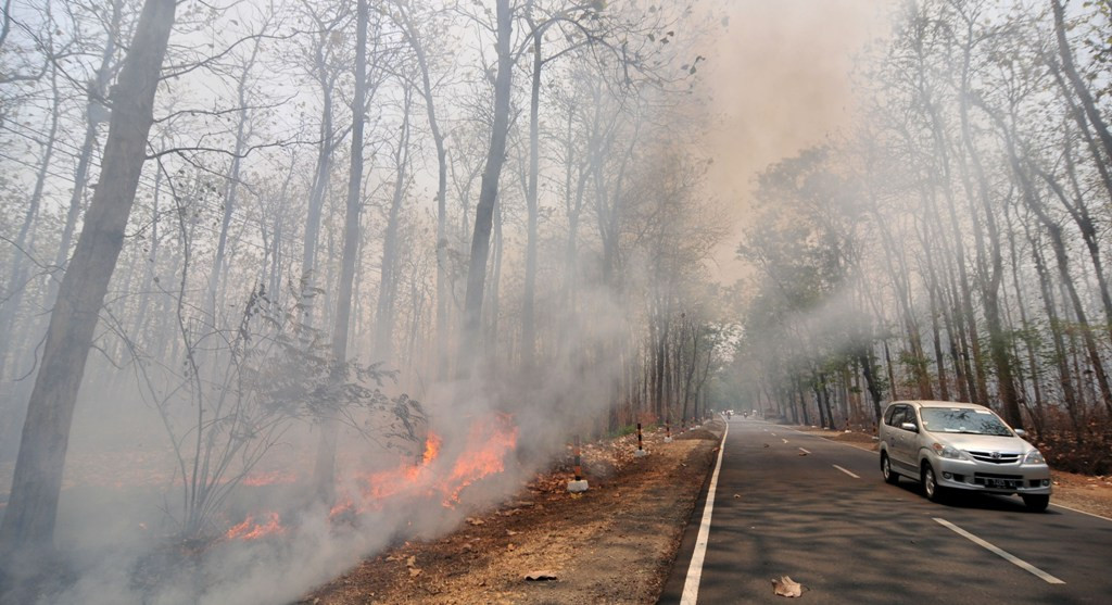 Ilustrasi kebakaran hutan. (ANTARA FOTO/Oky Lukmansyah)