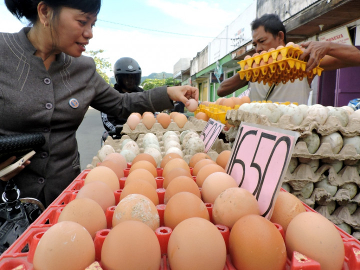 Harga Telur di Pangkalpinang Stabil 