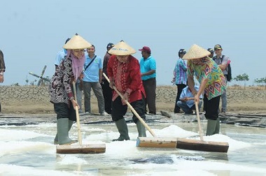 Geomembran Untungkan Petani Garam di Brebes Ratusan Juta Rupiah  