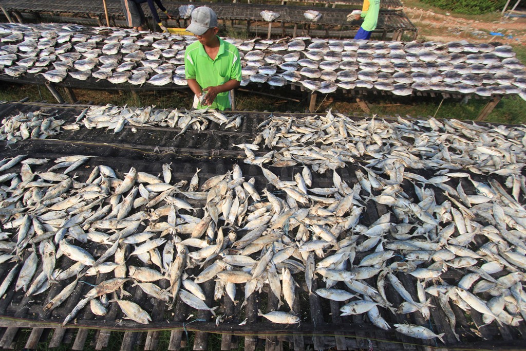 Ilustrasi. (ANTARA FOTO/Dedhez Anggara)