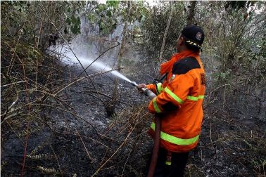Pemerintah Cabut 8.000 Ha Lahan HGU yang Terbakar