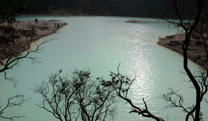 Perhutani Jual Obyek Wisata Unggulan di London