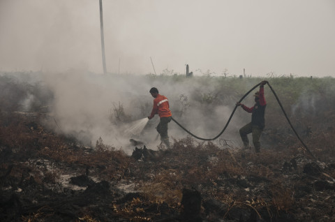 Kebakaran terhadap pernapasan manusia dampak sistem hutan karya tulis