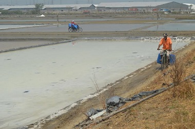 Petani Garam Keluhkan Harga Garam Rp17 Ribu per Sak
