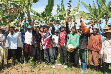 Petani di Brebes Diharuskan Bayar Rp10 Miliar ke Perhutani