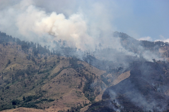 Perum Perhutani Lindungi Jawa dari Asap