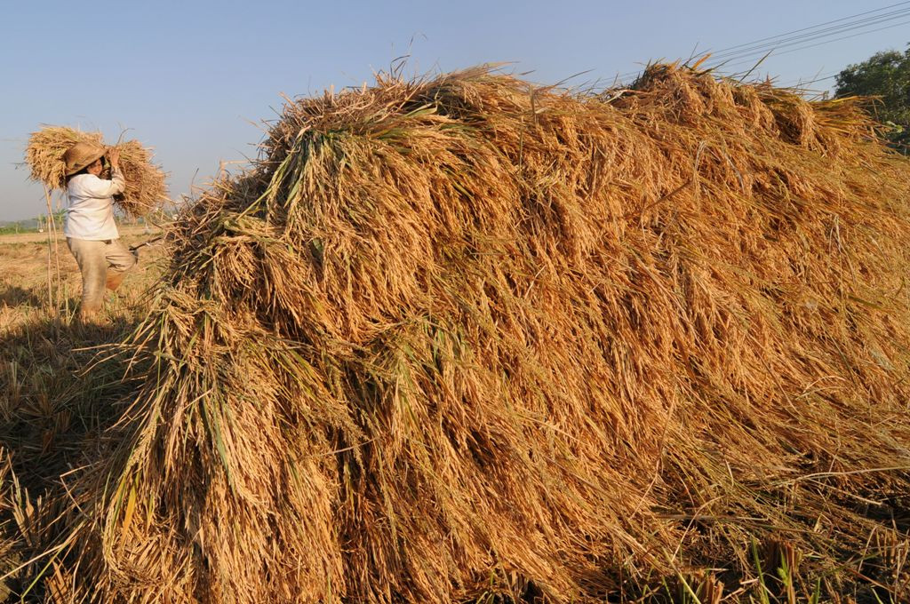 Ilustrasi (ANTARA FOTO/Saiful Bahri)