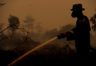 Pemadam Kebakaran Hutan Dapat Penghargaan Hari Pahlawan