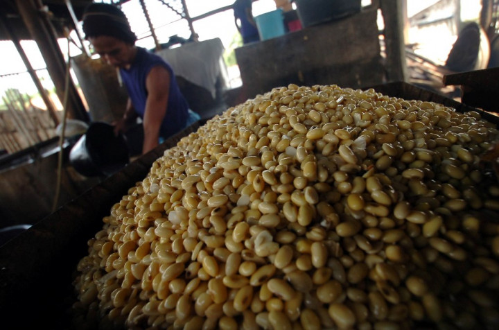 Produksi Kedelai di Bali Turun 15,07%