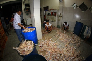 DKI Atur Pemotongan Ayam Sesuai Ajaran Islam