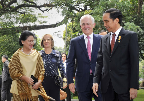 Jokowi Undang Australia Bangun Peternakan di NTT