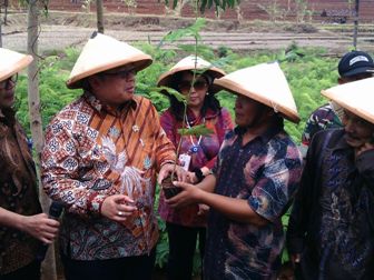 Hingga September, Rp290 Triliun Dana Daerah Mengendap di Bank